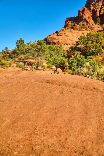 Bell Rock, Sedona, Arizona 'nın engebeli, kırmızımsı kahverengi arazisinin gündüz manzarası, açık mavi gökyüzünün altında yeşil çalılar kontrastı ekliyor - 2016