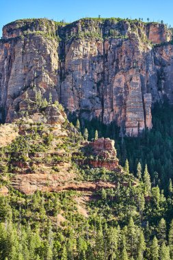 Sedonas Görkemli Dağ Manzarası Yeşillik Ormanları ve Sedimenter Kaya oluşumlarıyla, 2016 