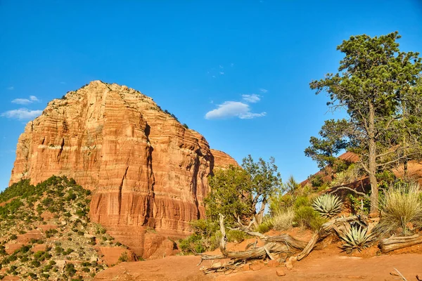 Majestic Bell Rock Bildning Sedona Arizona Badade Gyllene Eftermiddagsljus Visar — Stockfoto