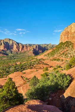 2016 yılında Sedonas ikonik Bell Rock, Arizona 'nın canlı gün ortası görüntüsü, kırmızı kaya oluşumlarının, yemyeşil yemyeşil ve açık mavi gökyüzünün katıksız kontrastını gözler önüne seriyor..
