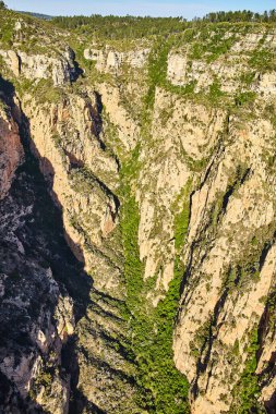 Arizona 'daki Sedona Kanyonu' nun nefes kesici hava manzarası, 2016 'da Doğal Erozyon ve Canlı Yeşillik