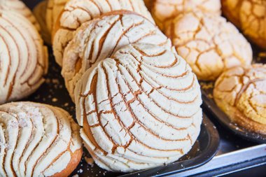 Taze pişmiş Conchas, Geleneksel Meksika Tatlı Ekmeği, Fort Wayne, Indiana, 2017 'de bir fırında sergilendi.