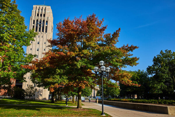 Students strolling under autumnal trees near the iconic Burton Memorial Tower on the University of Michigan campus, Ann Arbor