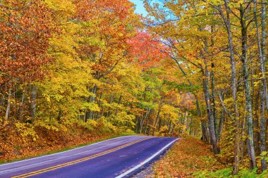 Keweenaw, Michigan 'da canlı bir sonbahar yolculuğu - Renkli sonbahar yaprakları sakin ılıman bir ormanın içinden geçen dolambaçlı bir yol, 2017