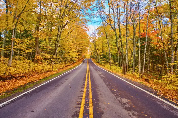 Huzurlu Michigan Yolu 'nda Manzaralı Sonbahar Yolculuğu, Vibrant Sonbahar Yaprakları ve Ağaçları, 2017