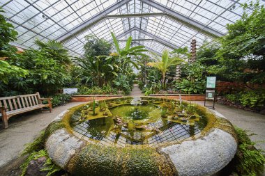 Matthaei Botanik Bahçeleri, Ann Arbor, Michigan 'da verimli tropikal bitki örtüsü ve sakin nilüferler içeren sakin bir botanik bahçesi.