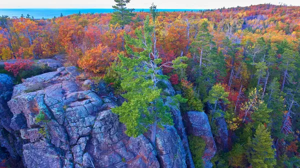 Aerial view of an autumn forest in Cliff Mine, Michigan, showcasing a vibrant mix of fiery red and orange hues, contrasting with rugged cliffs, captured by a DJI Phantom 4 drone in 2017.