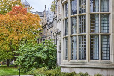 Michigan Üniversitesi Hukuk Fakültesi 'nde sonbahar, karmaşık klasik mimari ve sakin kampüs manzarası sergileniyor.