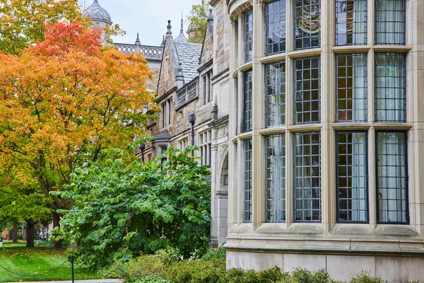 Michigan Üniversitesi Hukuk Fakültesi 'nde sonbahar, karmaşık klasik mimari ve sakin kampüs manzarası sergileniyor.