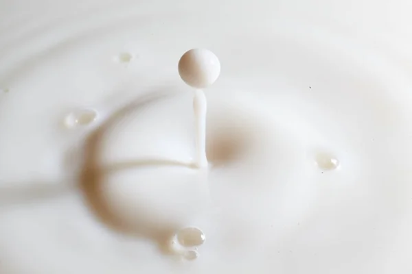 Snabbt Stänk Enda Mjölkdroppe Fånga Renhet Och Fräschör Macro Detail — Stockfoto