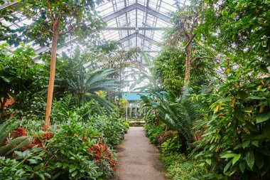 Matthaei, Michigan 'daki Lush Indoor Botanik Bahçesi, Bir Seradaki Bitkilerin Geniş Çeşitliliğini Gösteriyor