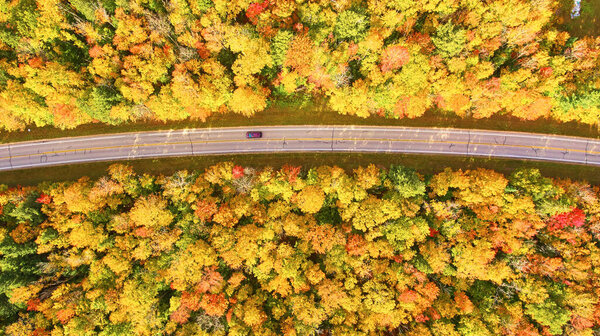 Aerial View of Autumn Drive in Michigan, Captured by DJI Phantom 4 Drone