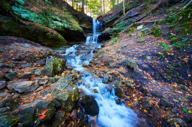 Horseshoe Falls, Michigan 'da sonbahar - sakin orman şelalesi yosunlu kayaların üzerinde şelaleler, canlı düşen yapraklar, sükuneti kişileştirir.