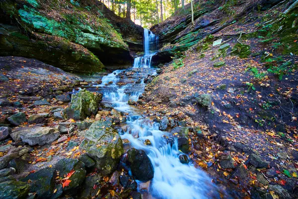 Horseshoe Falls, Michigan 'da sonbahar - sakin orman şelalesi yosunlu kayaların üzerinde şelaleler, canlı düşen yapraklar, sükuneti kişileştirir.