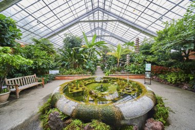Michigan, Matthaei Botanik Bahçeleri 'ndeki yemyeşil bahçe, Cam Tavanın Altında Canlı Tropik Bitkiler