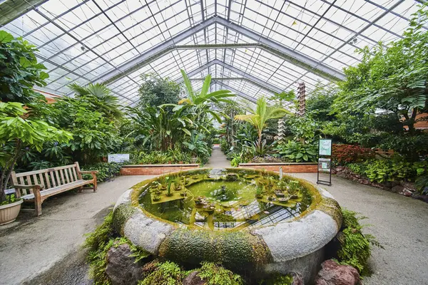 Michigan, Matthaei Botanik Bahçeleri 'ndeki yemyeşil bahçe, Cam Tavanın Altında Canlı Tropik Bitkiler