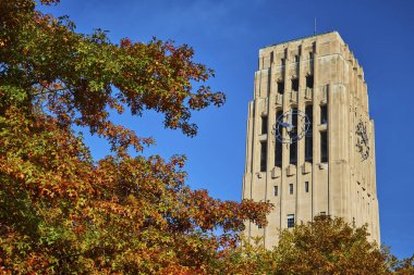 Michigan Üniversitesi 'nde sonbahar, tarihi Burton Memorial Saat Kulesi açık mavi gökyüzüne karşı