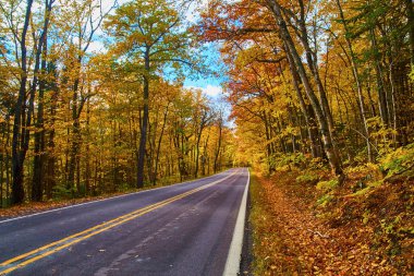 Michigan 'da Sonbahar Yolculuğu - Vibrant Fall Frame a Serene Country Road, 2017
