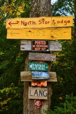 Michigan 'da özel bir mülkte, 2017 sonbaharında kırsal, renkli ahşap tabelaları olan bir ağacın gündüz görüntüsü.