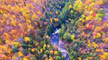 Canyon Falls, Michigan 'daki canlı sonbahar ormanı ve şelalesinin hava görüntüsü insansız hava aracı tarafından yakalandı.