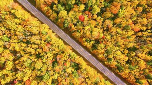 DJI Drone captures serene Autumn road in Michigan, 2017, showcasing vibrant fall foliage in a tranquil rural landscape