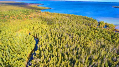 Yoğun Orman ve Mavi Göl 'ün Erken Sonbaharda Hava Görüntüsü, Michigans Palms Kitap Parkı, 2017