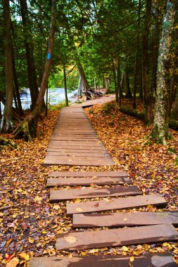 Michigans LAnse Kasabası, Canyon Falls Patikası, 2017 'deki sakin ormanda sonbahar yaprakları ahşap tahta kaldırımda.