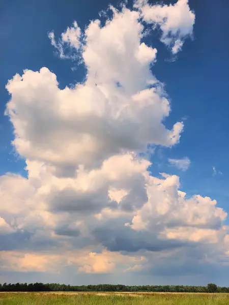 Sunlit Cumulus Clouds Lush Greenery Killdeer Wetlands Illinois 2022 Serene — Stock Photo, Image
