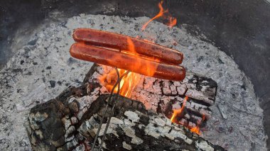 Kırsal Kamp Toplantisinda Parlayan Közlerin Üzerinde Izgara Sosislileri