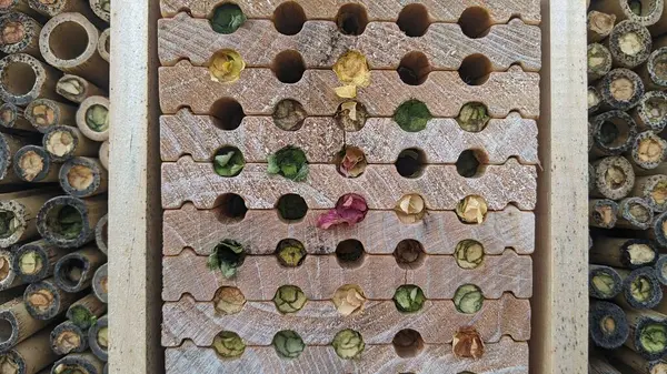 stock image Close-up of a wooden insect hotel highlighting environmental conservation and sustainable gardening