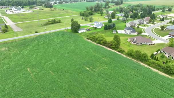 Aerial Stationary Shot Tranquil Auburn Indiana Dove Quartieri Suburbani Ordinati — Video Stock