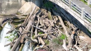 Fort Wayne, Indiana 'daki Maumee Nehri Barajı' nda Havadan Tilt Vuruşu: Weathered Gears ve Driftwood-Logged Waterway aracılığıyla Endüstriyel Tarih ve Çevre Çarpışmasının Eko 'suna tanıklık edin.