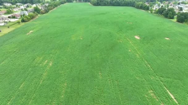 Aerial Stationary Shot Auburn Indiana Menampilkan Kontras Tenang Dari Lahan — Stok Video