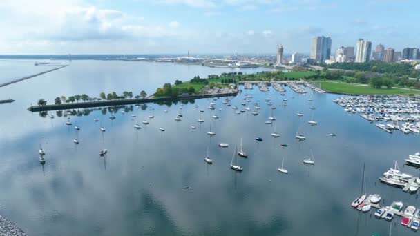 Aerial Tracking Shot Mckinley Marina Center Docks Milwaukee Podkreślając Oszałamiającą — Wideo stockowe