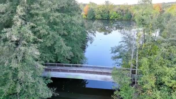 Gallup Park Tersten Uçuşu Ann Arbor Michigan Bereketli Yeşillikte Altın — Stok video