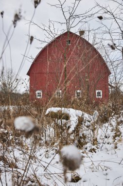 Vibrant Red Barn amid Tranquil Winter Landscape in Fort Wayne, Indiana - A Symbol of Rural Life and Seasonal Change clipart