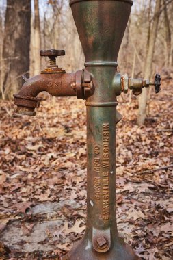 Vintage water pump amidst autumn leaves in Lindenwood Preserve, Indiana, symbolizing rustic charm and bygone era clipart