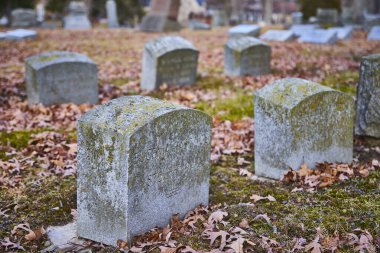 Lindenwood Mezarlığı, Fort Wayne, Indiana 'da sonbahar yapraklarının altında, tarihi ve geçiciliği simgeleyen eskimiş bir mezar taşı..