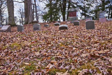 Autumn whispers in Lindenwood Cemetery, Indiana. A tranquil carpet of fallen leaves blankets the ground, marking time and memory in natures cycle. clipart
