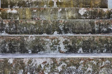Time-worn stone steps, embraced by nature, at Lindenwood Cemetery, Indiana, a textured testament to seasonal transition and decay. clipart