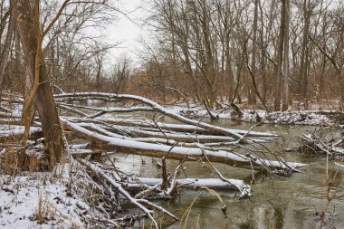 Serene Winter Wonderland at Cooks Landing Park, Indiana - Snow-dusted Trees and Gentle Stream clipart