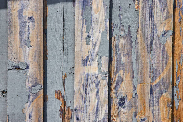Close-up of weathered blue barnwood in Spiceland, Indiana, showcasing rustic texture and times relentless passage
