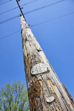 Varşova, Indiana 'da yıllanmış telefon direği, açık mavi gökyüzünün altına kazınmış, kalıcı bağlantıyı simgeliyor..