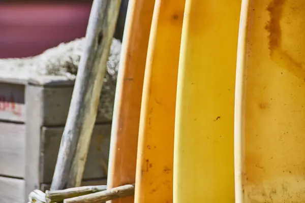 stock image Bright yellow surfboards lined up, evoking rugged adventure and the joy of beach life, under sunlit skies.