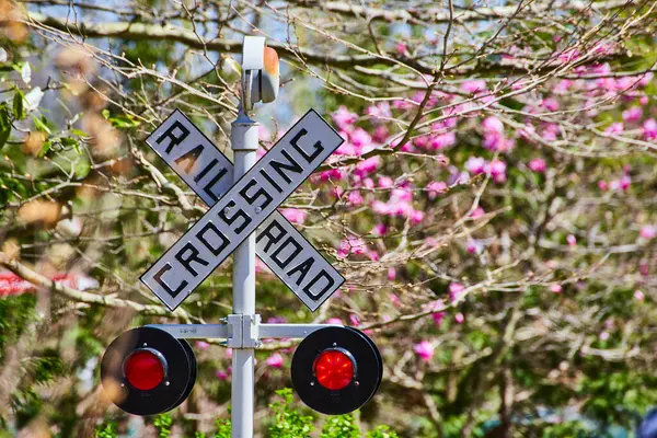 stock image Railroad crossing sign amidst vibrant pink blooms and lush greenery, symbolizing natures harmony with technology.