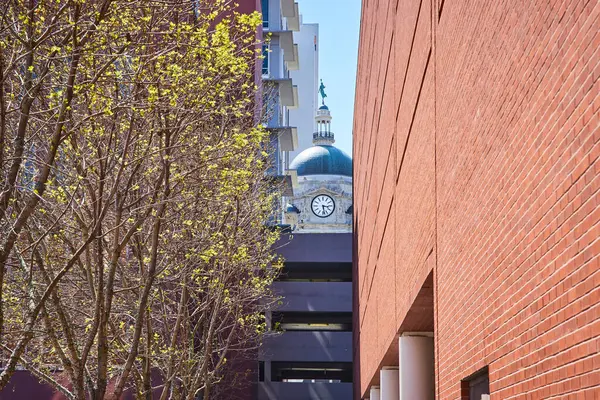 stock image Spring in Fort Wayne: Nature meets architecture with the historic courthouse framed by modern buildings.