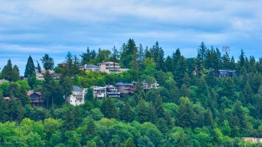 Portland, Oregon yakınlarındaki yemyeşil yemyeşil bir alana yerleşmiş huzurlu tepe evlerinin manzarası yükseldi. Modern ve geleneksel mimarisi olan huzurlu bir orman mahallesi. Huzurlu yaşam ve doğa için mükemmel.