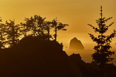 Samuel H Boardman Eyalet Sahne Koridoru, Brookings, Oregon 'da Arch Rock' ta altın saat. Siluetli uçurumlar ve kozalaklı ağaçlar, sakin kıyı şeridini çerçeveler, sıcak kehribar renkleriyle yıkanır, zamansızları yakalar.