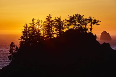 Arch Rock, Brookings, Oregon 'daki engebeli uçurumlarda sakin bir günbatımı. Işıl ışıl parlayan bir gökyüzüne karşı siluetli ağaçlar, ıssız bir kayalık ada Samuel H. Boardman State Scenic 'in huzur veren güzelliğini artırıyor.