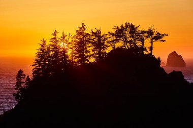 Tranquil sunset over rugged cliffs at Arch Rock, Brookings, Oregon. Silhouetted trees against a glowing sky, with a solitary rocky island adding to the serene beauty of Samuel H. Boardman State Scenic clipart